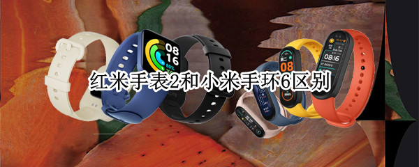 红米手表2和小米手环6区别