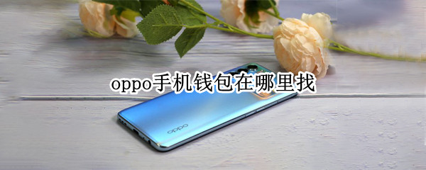 oppo手机钱包在哪里找