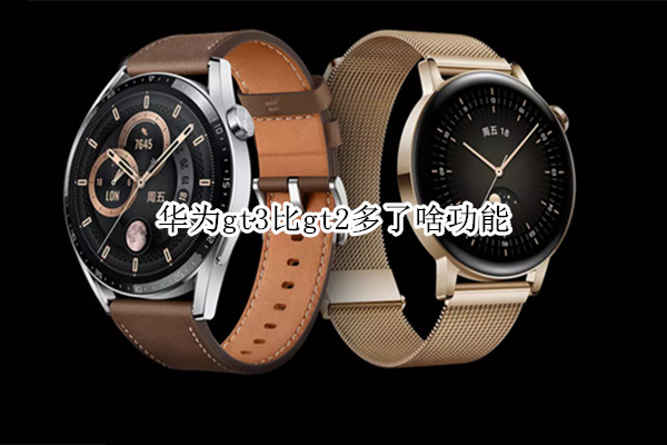 华为gt3比gt2多了啥功能