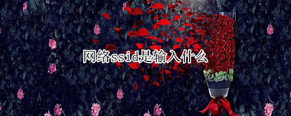 网络ssid是输入什么