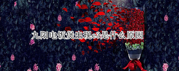 九阳电饭煲出现e3是什么原因