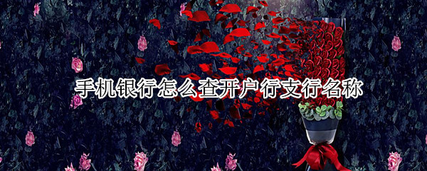 手机银行怎么查开户行支行名称