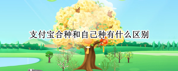 支付宝合种和自己种有什么区别