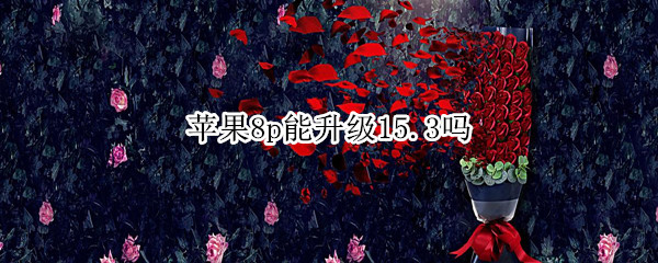 苹果8p能升级15.3吗