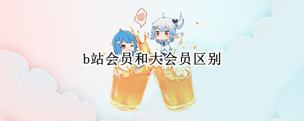 b站会员和大会员区别
