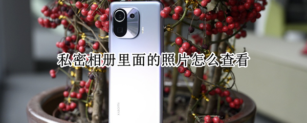 私密相册里面的照片怎么查看
