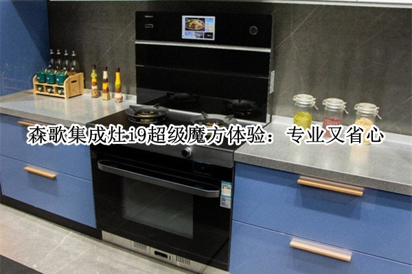 森歌集成灶i9超级魔方体验：专业又省心