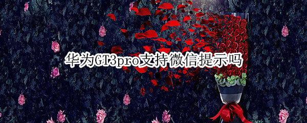 华为GT3pro支持微信提示吗
