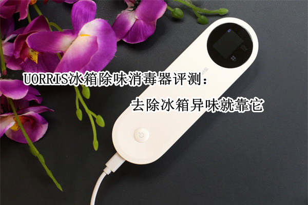 UORRIS欧瑞氏冰箱除味消毒器评测：去除冰箱异味就靠它