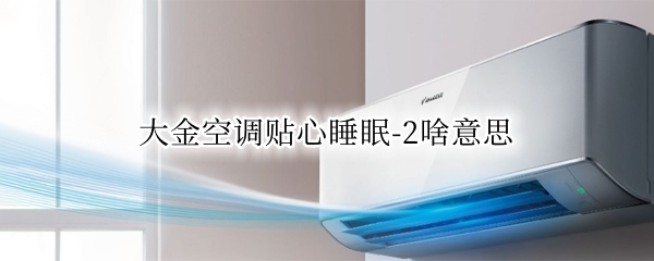 大金空调贴心睡眠-2啥意思