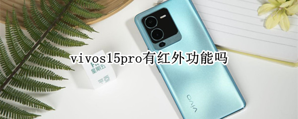 vivos15pro有红外功能吗