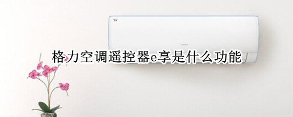 格力空调遥控器e享是什么功能