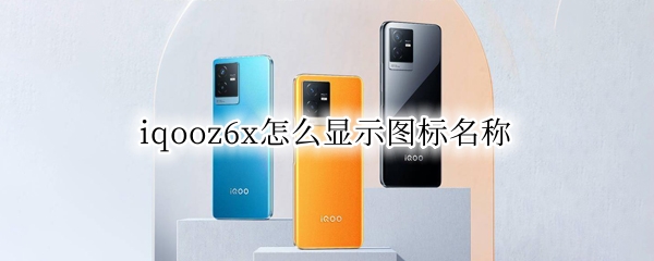 iqooz6x怎么显示图标名称