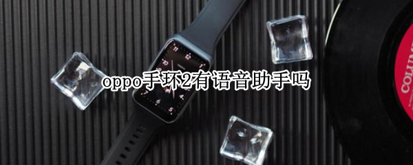 oppo手环2有语音助手吗