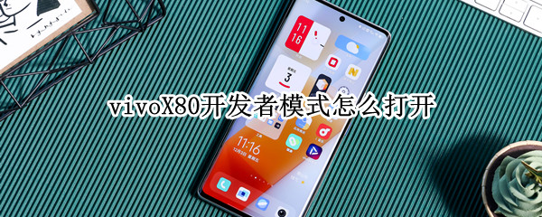 vivoX80开发者模式怎么打开