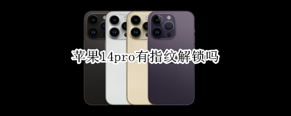苹果14pro有指纹解锁吗