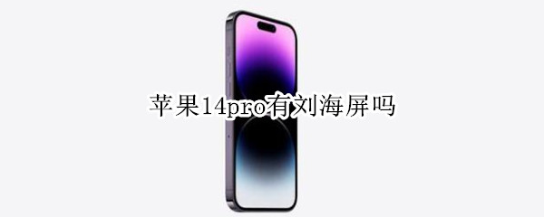苹果14pro有刘海屏吗