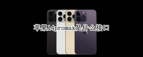 苹果14promax是什么接口
