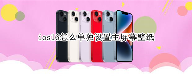 ios16怎么单独设置主屏幕壁纸