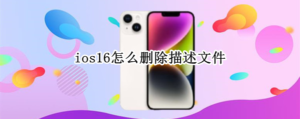 ios16怎么删除描述文件