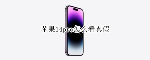 苹果14pro怎么看真假