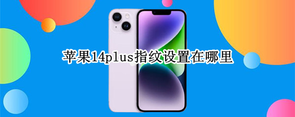 苹果14plus指纹设置在哪里