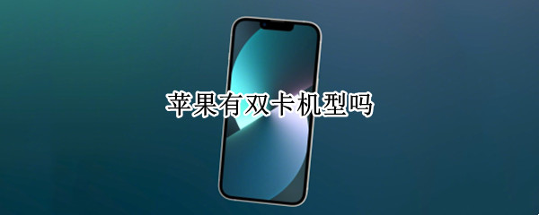 苹果有双卡机型吗