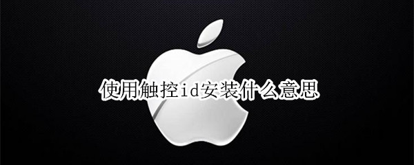 使用触控id安装什么意思