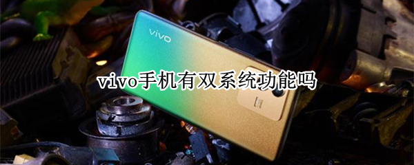 vivo手机有双系统功能吗