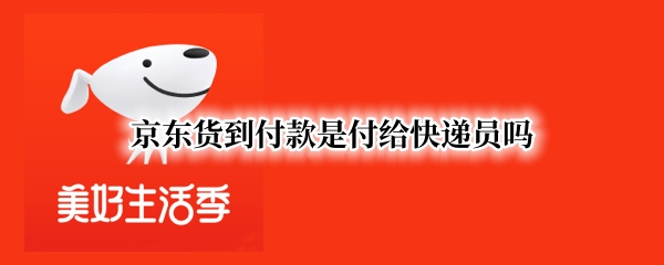京东货到付款是付给快递员吗