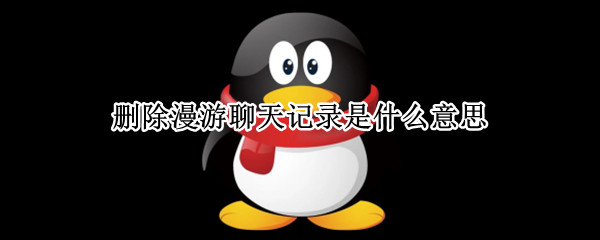 删除漫游聊天记录是什么意思