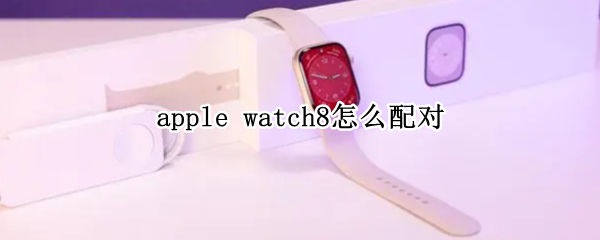 apple watch8怎么配对