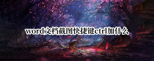 word文档截图快捷键ctrl加什么