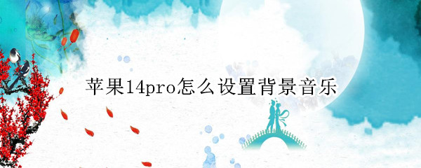 苹果14pro怎么设置背景音乐