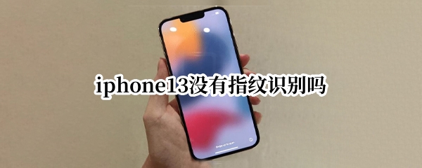 iphone13没有指纹识别吗