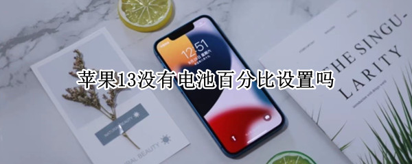 苹果13没有电池百分比设置吗