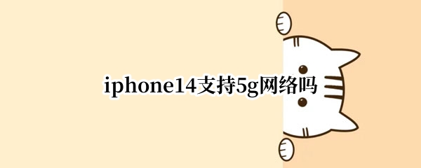 iphone14支持5g网络吗