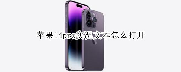 苹果14pro实况文本怎么打开