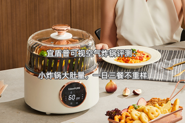宜盾普可视空气炸锅评测：小炸锅大肚量，一日三餐不重样