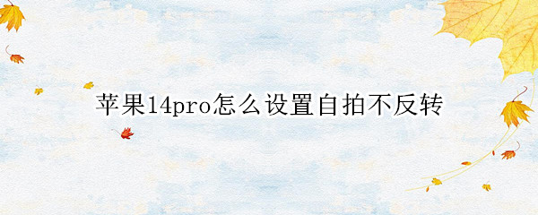 苹果14pro怎么设置自拍不反转