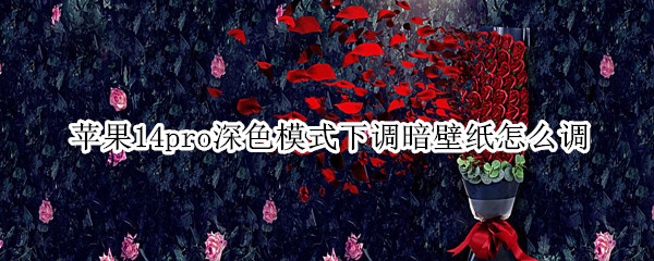 苹果14pro深色模式下调暗壁纸怎么调