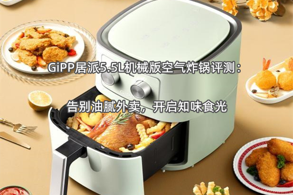 GiPP居派5.5L机械版空气炸锅评测：告别油腻外卖，开启知味食光