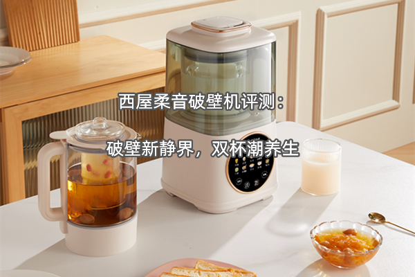 西屋柔音破壁机评测：破壁新静界，双杯潮养生