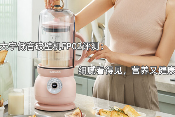大宇低音破壁机FP02评测：细腻看得见，营养又健康
