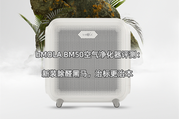 bMOLA BM50空气净化器评测：新装除醛黑马，治标更治本