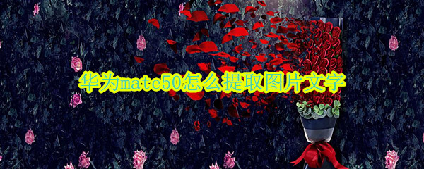 华为mate50怎么提取图片文字