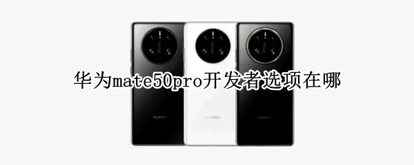 华为mate50pro开发者选项在哪