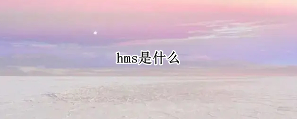 hms是什么