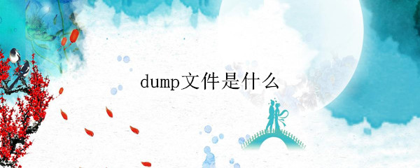 dump文件是什么