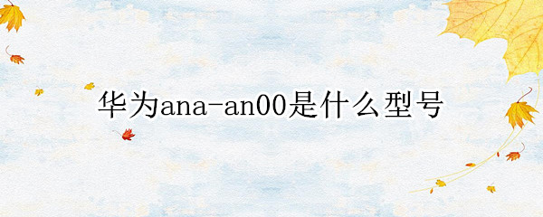 华为ana-an00是什么型号